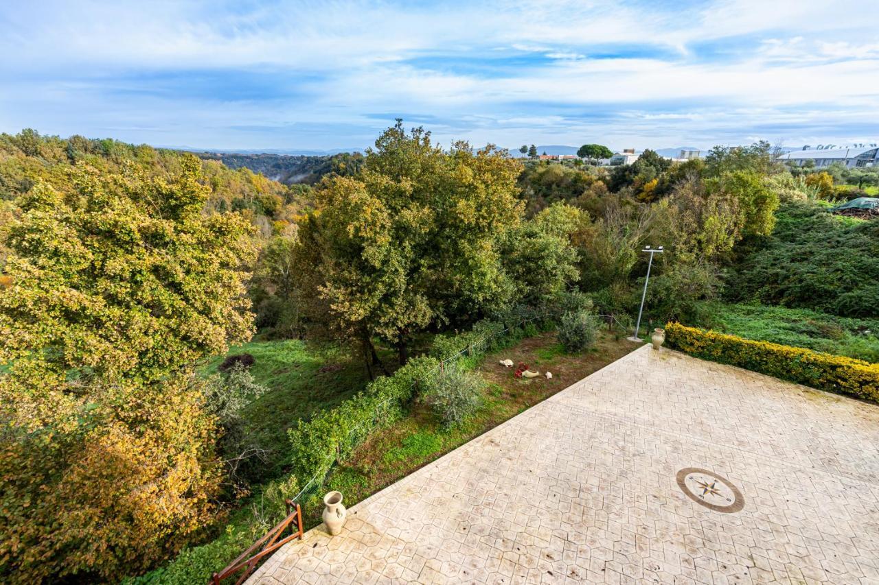 Il Contado B&B Castel Sant'Elia Exterior foto